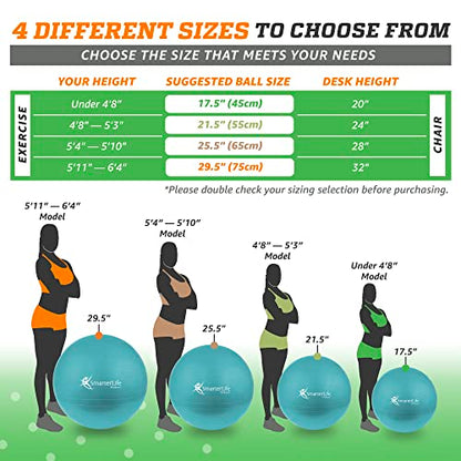 SmarterLife Exercise Ball, Yoga Ball for Gym, Balance, Stability, Pregnancy - color: Turquoise, size: 45 cm
