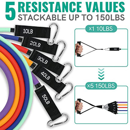Resistance Bands for Working Out, Exercise Bands with Handles, Stretch Bands for Exercise, Workout Bands with Door Anchors for Physical Therapy & Strength Training