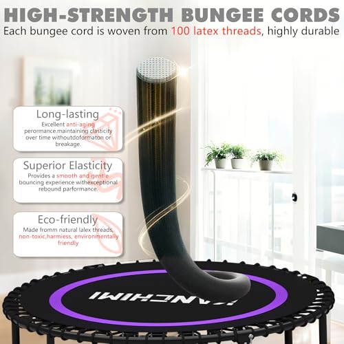 450/550LBS Mini Rebounder Trampoline for Adults with Bar, 40" /48" Fitness Trampoline Adjustable Foam Handle, Stable&Quiet Exercise Rebounder for Adults Indoor/Outdoor Workout(Purple, 550LBS)