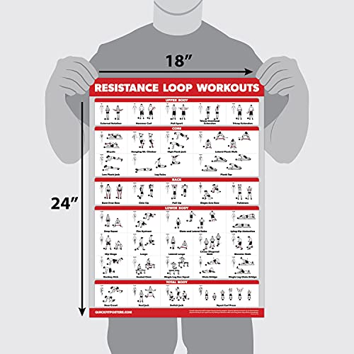 QUICKFIT 2 Pack - Resistance Bands and Resistance Loops Workout Posters - Set of 2 LAMINATED Charts - Resistance Band Tubes and Loops Exercise Charts (Laminated, 18" x 24")