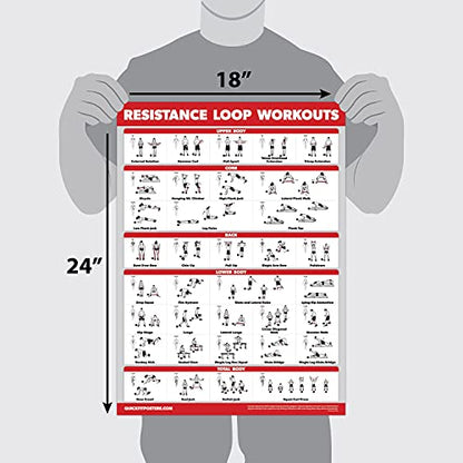 QUICKFIT 2 Pack - Resistance Bands and Resistance Loops Workout Posters - Set of 2 LAMINATED Charts - Resistance Band Tubes and Loops Exercise Charts (Laminated, 18" x 24")
