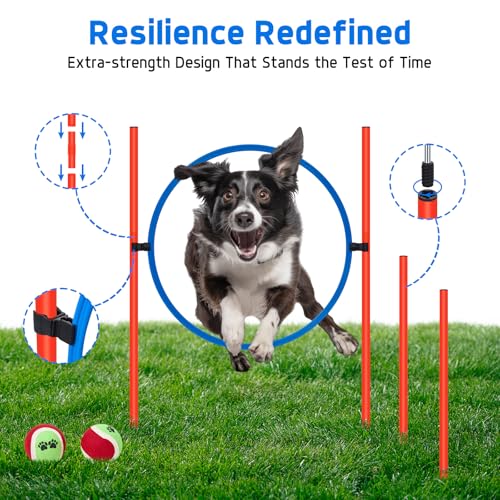 Dog Agility Equipment, Dog Obstacle Courses Backyard - Pet Outdoor Games w/Adjustable High Jump, Agility Weave Poles, Tunnel, Jumping Ring, Pause Box, 2 Balls,Whistle and Carrying Bag - size: 5 PCS Basic with tunnel