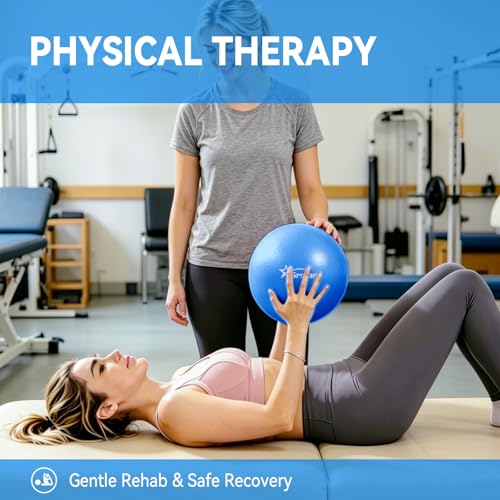 9 Inch Pilates Ball, Mini Exercise Ball for Yoga, Barre & Fitness Training - color: 4Purple