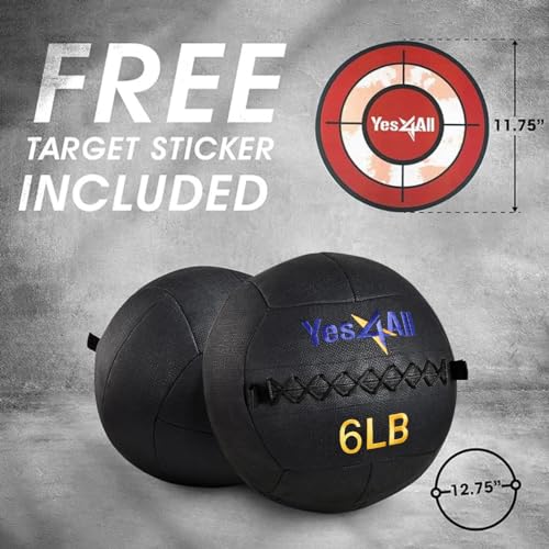 Yes4All Wall Ball, Soft Leather Weighted Iron Sand Ball for Dynamic Multifunctional Exercise, 6 LB - 30 LB - color: A. Black, style: A. 6LB