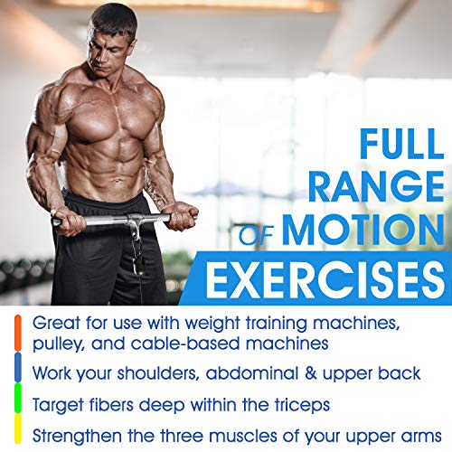 Yes4All Cable Machine Attachment, Row Handles, Tricep Rope, Straight Bar, V Bar, LAT Pulldown Accessories Load 880 LB for Home Gym - color: H. Double D Handle + TricepRope + Vshaped bar