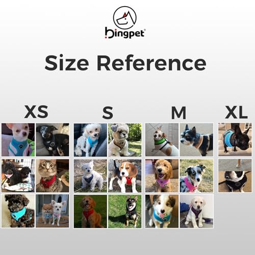 BINGPET Small Dog Harness, No Pull Step-in Puppy Pet Vest, Red - color: Red, size: S (NECK: 12", CHEST: 14"-18")