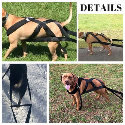 Dog Pulling Harness, Adjustable Nylon Dog Sled Harness for Behaviors Training, Weight Pulling, Canicross, Ski-Joring.
