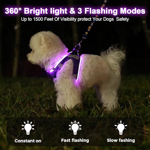 Light Up Dog Harness, Rechargeable LED Dog Harness for Small Medium Dogs - color: Purple, size: M