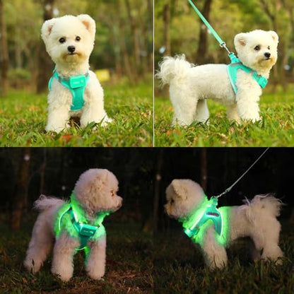 Light Up Dog Harness, Rechargeable LED Dog Harness for Small Medium Dogs - color: Light Green, size: L