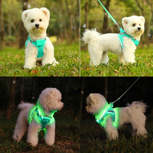 Light Up Dog Harness, Rechargeable LED Dog Harness for Small Medium Dogs - color: Light Green, size: M