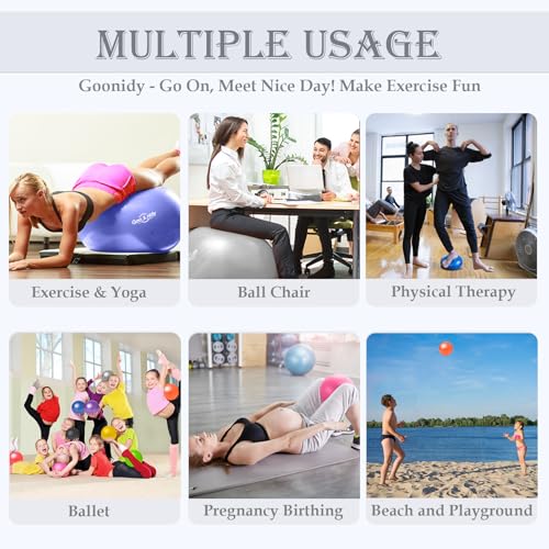 PL-0015 Soft Exercise Ball, Anti-Burst Yoga Ball Chair Supports 2200lbs PL-0015
