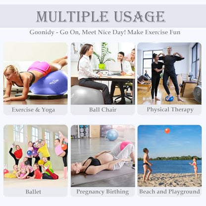 PL-0015 Soft Exercise Ball, Anti-Burst Yoga Ball Chair Supports 2200lbs PL-0015