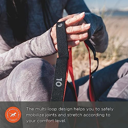 Tiger Tail The Stretchy Tiger 80” - Stretch/Yoga Strap with 10 Numbered Loops for Yoga, Physical Therapy, Pilates, & Exercise, Stretching Strap with Loop
