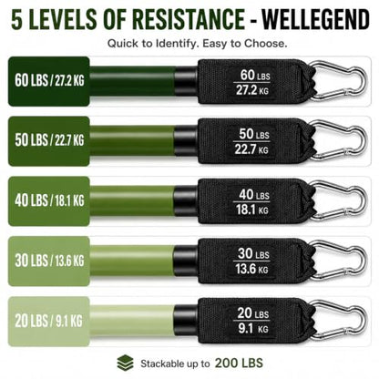 Resistance Bands Set, 200 LBS Stackable 5-Tube Set with Handles, Door Anchor and Ankle Straps for Full-Body Strength Training