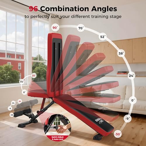 FLYBIRD Adjustable Weight Bench, Full Body Workout Bench for Home Garage Gym Strength Training, Incline Flat Decline for Sit Up Bench Press - color: C-FB299