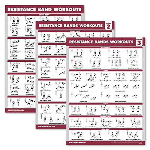Palace Learning 4 Pack - Resistance Bands Workout Exercise Posters Volume 1, 2 & 3 + Resistance Loops Fitness Chart (LAMINATED, 18" x 24") - color: LAMINATED