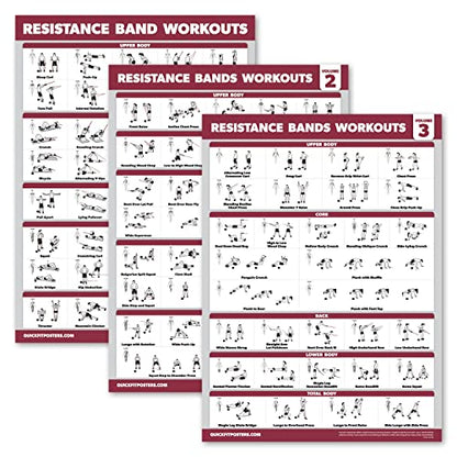 Palace Learning 4 Pack - Resistance Bands Workout Exercise Posters Volume 1, 2 & 3 + Resistance Loops Fitness Chart (LAMINATED, 18" x 24") - color: LAMINATED