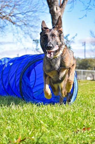 3 Piece Essential Dog Agility Equipment Set | Agility Jump | Tire Jump | 10’ Tunnel with Sandbags