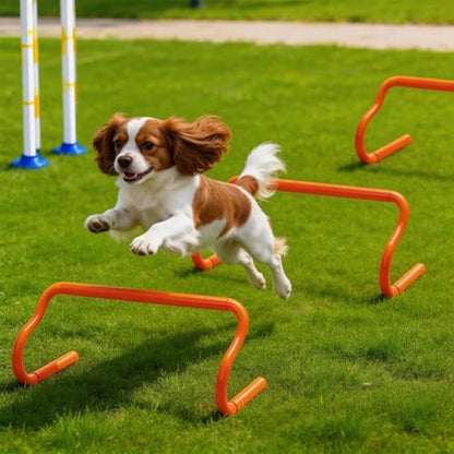 10 Pack 9" Agility Hurdles, Plastic Speed Agility Training Hurdle, Detachable Sturdy Plyometric Hurdles, Training Equipment Set with Carry Bag for Football, Soccer, Basketball, Athletes