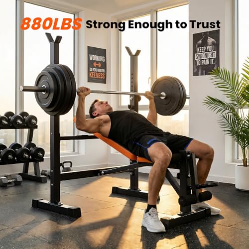 YOLEO Beginner Weight Bench Set for Home Gym, 6-in-1 Adjustable Workout Bench with Squat Rack, Foldable Full Body Fitness Equipment for Bench Press, Sit-Up & Strength Training