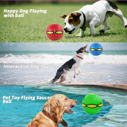 Dog Flying Disc Toy, Flying Saucer Ball for Dogs, Outdoor Games Red+Pink 2PCS - color: Red+Pink