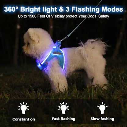 Light Up Dog Harness, Rechargeable LED Dog Harness for Small Medium Dogs - color: Blue, size: XS