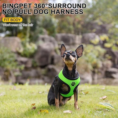 BINGPET Small Dog Harness, No Pull Step-in Puppy Pet Vest, Green - color: Green, size: XS (NECK: 10", CHEST: 10"-14")
