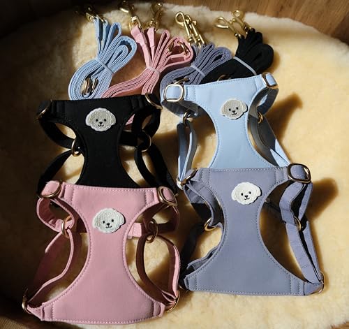 AetruffyPet 100% Cotton Dog Harness and Leash Set – Soft Breathable Vest for Small Dogs, Adjustable No-Choke Design, Lightweight Walking Set (XS/S/M) (Blue, XS) - color: Blue, size: XS