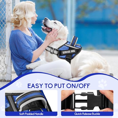 Service Dog Vest Harness and Leash Set, Animire in Training Dog Harness with 10 Dog Patches, Reflective Dog Leash with Soft Padded Handle for Small, Medium, Large, and Extra-Large Dogs