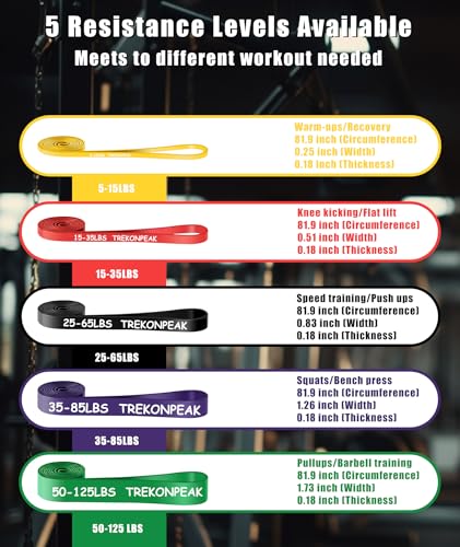 Resistance Bands for Working Out, 5-Levels Exercise Band Set, Pull Up Assistance Bands-Strength Training Physical Therapy Stretching Women Men Home Gym