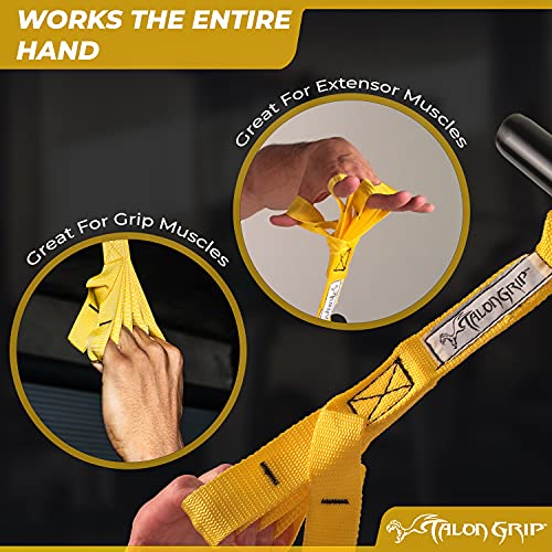 Core Prodigy Talon Pull Up Grip Strength Straps