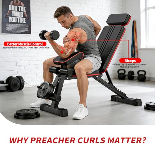 Adjustable Weight Bench, Foldable Workout Bench Press, 800LBS Weight Benches for Home Gym, Workout Equipment with Preacher Curl & Leg Extension, Incline Decline Flat Bench for Full Body Exercise & Fitness Equipment