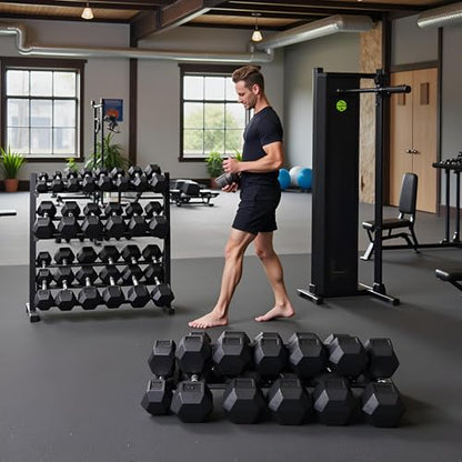 Hex Dumbbell Set with Rack - Rubber Coated Weight Set Pairs, 3-Tier Storage Rack for Home Gym Fitness Equipment 250/350/450/550 lbs - size: 450 lbs with rack