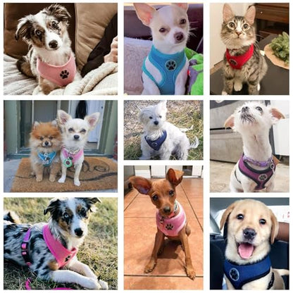 BINGPET Small Dog Harness, No Pull Step-in Puppy Pet Vest, Blue - color: Navy Blue, size: S (NECK: 12", CHEST: 14"-18")