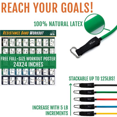 Ryno Tuff Resistance Bands Set - Exercise Bands With Handles 12 Piece Set Includes Bonus Resistance Band Workout Poster - 5 Workout Bands Combine Up To 125lbs Strength Training, Physical Therapy, Yoga