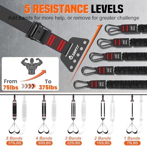 Adjustable Pull Up Assistance Band, Heavy Duty Assisted Pull Up Bands Support 375lbs, Upgrade Pull Up Bar Resistance Band for Assist Pullup Home Gym Strength Training