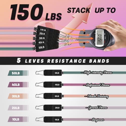 WHATAFIT Resistance Bands, Exercise Bands, Workout Bands with Handles, Door Anchor and Ankle Straps, 5 Resistance Levels Fitness Bands for Strength Training, Physical Therapy, and Home Gym Equipment
