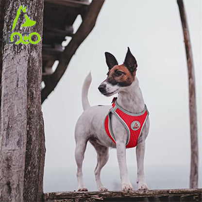DOCO Dog Harness for Large Sized Dog - Athletica Adjustable, No Pull, No Choke, Puppy Vest Lightweight Air Mesh, Reflective, Puppy Essentials – Lime, Large (Chest 18.5"-19.5", Weight 15–20 lbs)