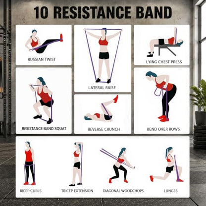 Pull Up Assistance Bands,Muit Levels Resistance Bands for Senior/Adults,Exercise Bands with Door Anchor, Strength Bands for Fitness Training, Physical Therapy,Home Gym Workouts