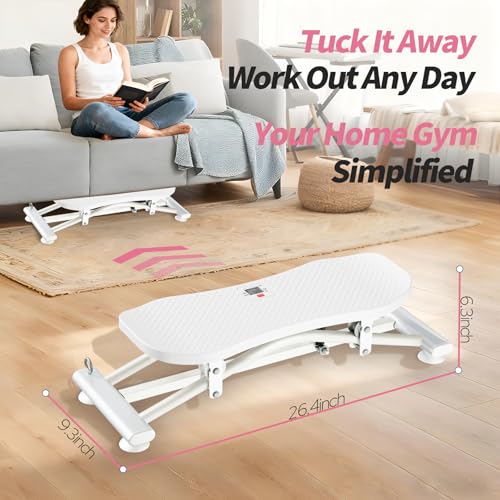 Balance Board for Adults, Ski Machine Exercise Equipment with Resistance Bands, Rock Stepper Featuring LCD Monitor, Portable Wobble Board or Full Body Workout at Home Gym
