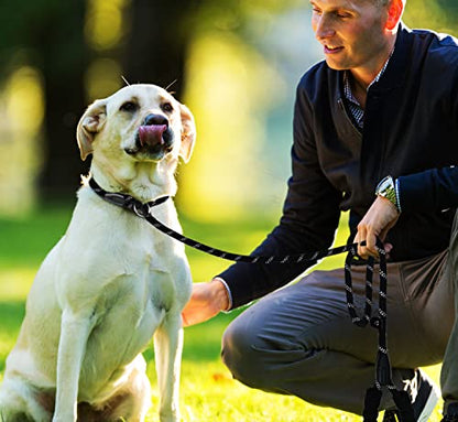 6 FT Heavy Duty Dog Leash, Premium Quality Strong Training Rope Slip Leash - color: Black, size: 6 Feet x 1/3 Inch