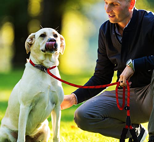 Dog Leash, 6 FT Heavy Duty Dog Leashes with Comfortable Padded Handle,Red - color: Red, size: 6 Feet x 1/2 Inch