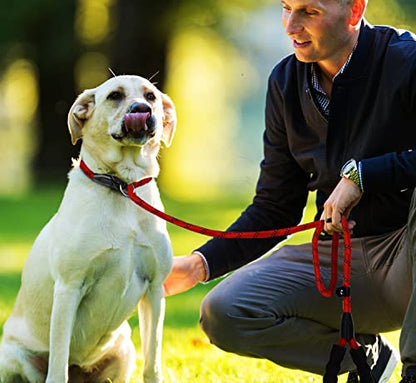 Dog Leash, 6 FT Heavy Duty Dog Leashes with Comfortable Padded Handle,Red - color: Red, size: 6 Feet x 1/2 Inch