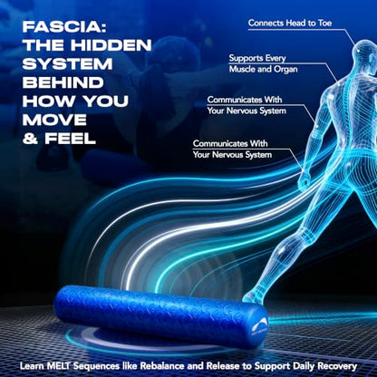 Melt 36-Inch Soft Foam Roller Myofascial Release Physical Therapy