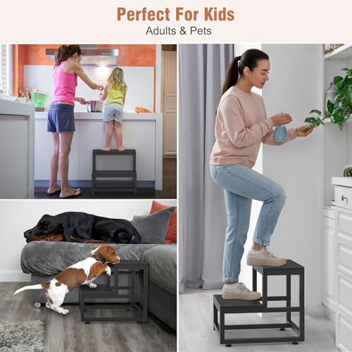 LIANTRAL 2 Step Stool for Adults Kids, Heavy Duty Sturdy Steel Frame with Wooden Steps, Bedside Foot Stool with 500lbs Load Capacity, Non-Slip Step Stool for High Bed, Kitchen, RV Step - Black