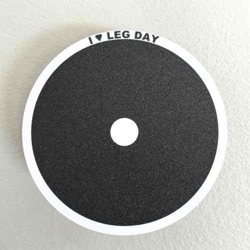 Wall Ball Target (Wall Mounted) for Hyrox or Hybrid Workout Training; Squat Medicine Ball Throws; mounts on the wall; for the Garage, Side of House or Hyrox Gym (Single). (White)
