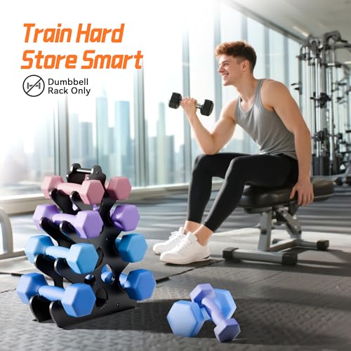 4 Tier Dumbbell Rack, Weight Rack For Home Gym, Dumbbell Stand for Free Weights - size: 4 tier