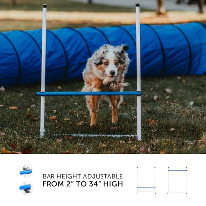 3 Piece Essential Dog Agility Equipment Set | Agility Jump | Tire Jump | 10’ Tunnel with Sandbags