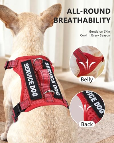 Service Dog Vest for Small Breed Dogs with ID Tag – Lightweight Puppy Harness and Leash Set with 6 PCS Patches, Ideal Service Animal Vest for Training, Complete Service Dog Gear, Red, M