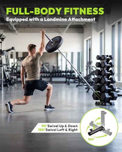 HANDBODE A-Frame Dumbbell Rack Heavy Duty Weight Stand for Dumbbells, Space-Saving Metal Storage Organizer, Sturdy Dumbbell Holder for Home Gym - style: 1 X 6-Tier A-Frame with Landmine Attachment